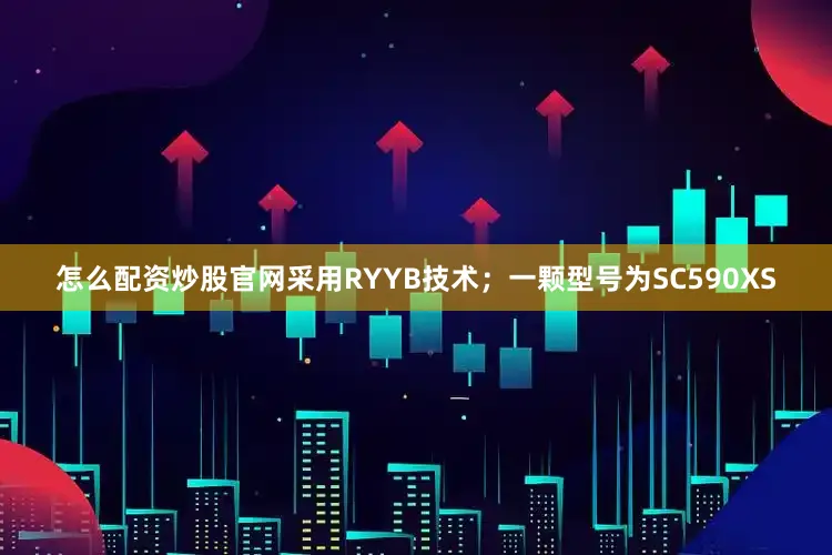 怎么配资炒股官网采用RYYB技术；一颗型号为SC590XS