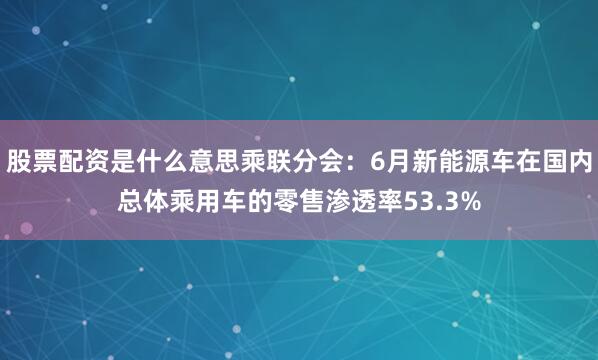 股票配资是什么意思乘联分会：6月新能源车在国内总体乘用车的零售渗透率53.3%