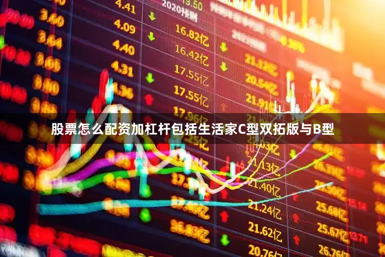 股票怎么配资加杠杆包括生活家C型双拓版与B型