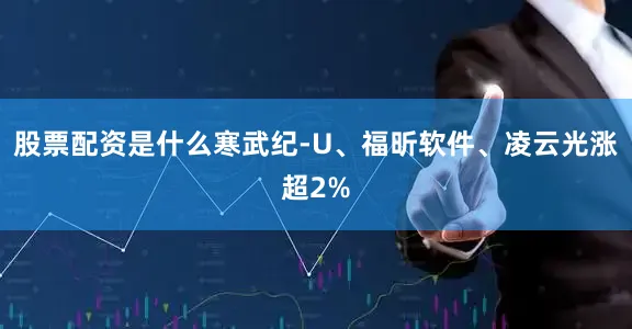 股票配资是什么寒武纪-U、福昕软件、凌云光涨超2%