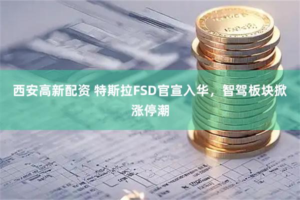 西安高新配资 特斯拉FSD官宣入华，智驾板块掀涨停潮