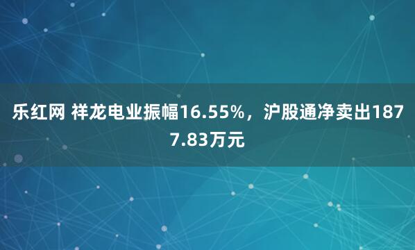 乐红网 祥龙电业振幅16.55%，沪股通净卖出1877.83万元